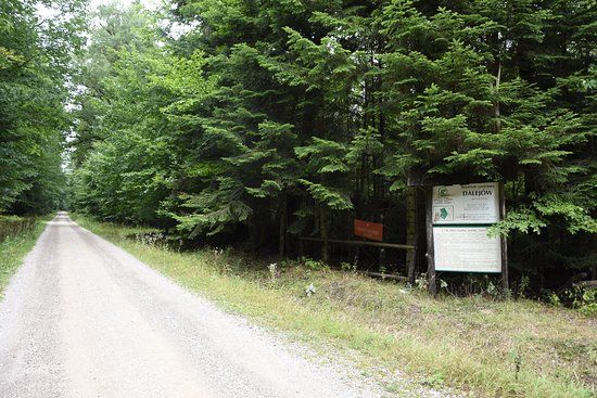 Rezerwat przyrody Dalejów